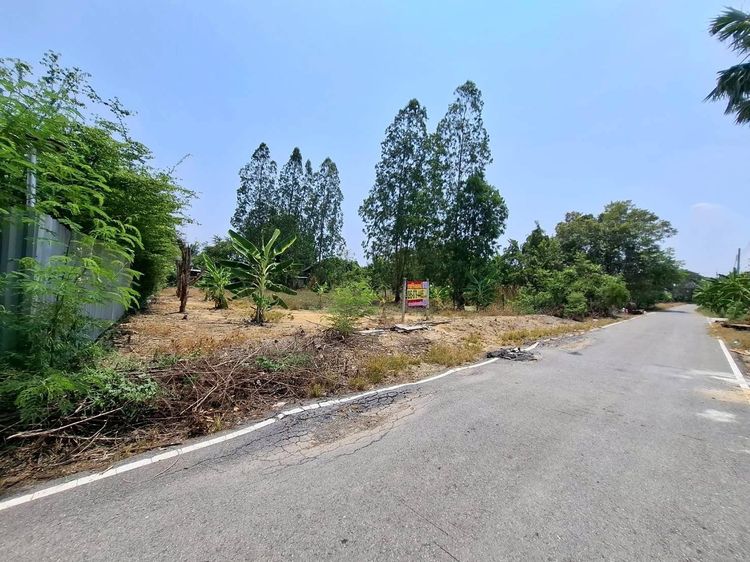 ขายด่วนที่ดิน 198 ตรว ติดถนนลาดยาง ซอย สส.สำเร็จ17 ตำบลบ้านไหม่ อำเภอบางใหญ่ จ.นนทบุรี รูปที่ 3