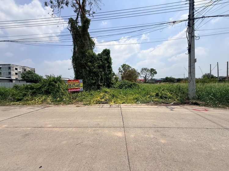 ขายที่ดินใกล้รถไฟฟ้า 309 ตรว ติดถนนสาธารณะ ซอยพิเศษ 5 ต.คูคต อ.ลำลูกกา จ.ปทุมธานี 