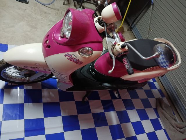 ฟีโน่2011 รูปที่ 10