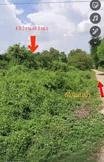ใช่ ที่ดินจังหวัดสิงห์บุรี ติดแม่น้ำเจ้าพระยา