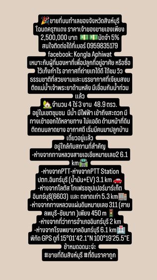 ใช่ ที่ดินจังหวัดสิงห์บุรี ติดแม่น้ำเจ้าพระยา รูปที่ 3