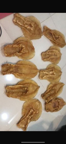 รับซื้อกระเพาะปลา