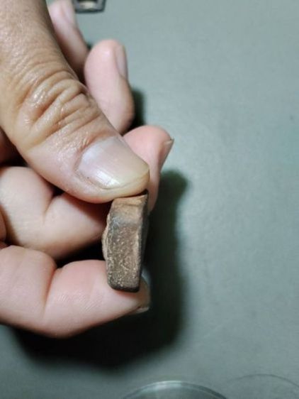 หลวงพ่อปานขี่ไก่หาง5เส้นเนื้อจัดมาก   รูปที่ 4