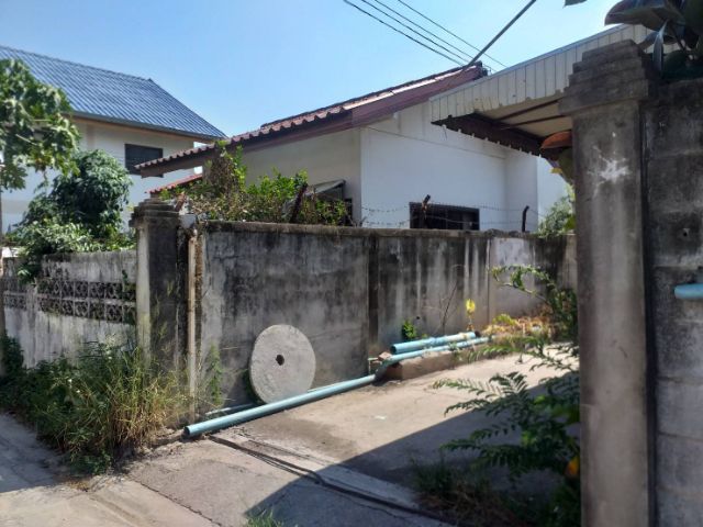 อื่นๆ ไม่มี ขายบ้านปากช่อง รูปที่ 4