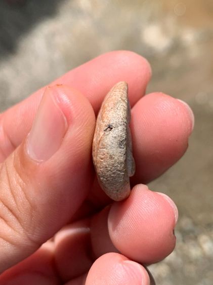 พระนางพญา รูปที่ 4