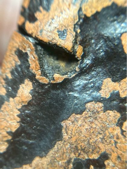 พระลีลาเม็ดขนุน กำแพงเพชร รูปที่ 14