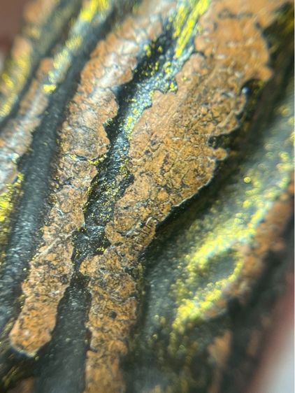 พระลีลาเม็ดขนุน กำแพงเพชร รูปที่ 9