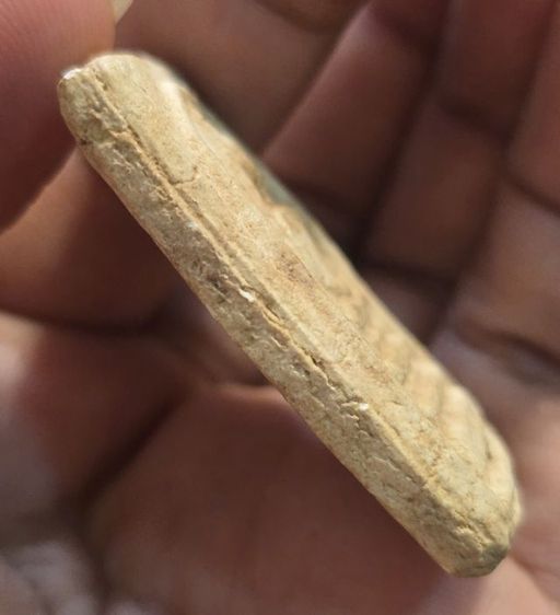 พระสมเด็จเก่าพิมพ์ฐานแซม350บาทรวมส่ง รูปที่ 7