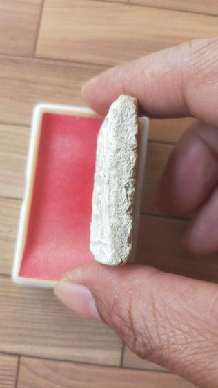 สมเด็จหลวงปู่จันทร์ 2  สุราษฎร์ธานี รูปที่ 6