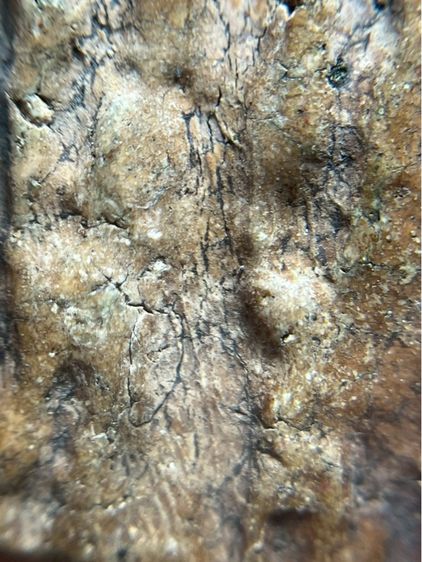 พระสมเด็จวัดระฆังหลังร่องสวน รูปที่ 15