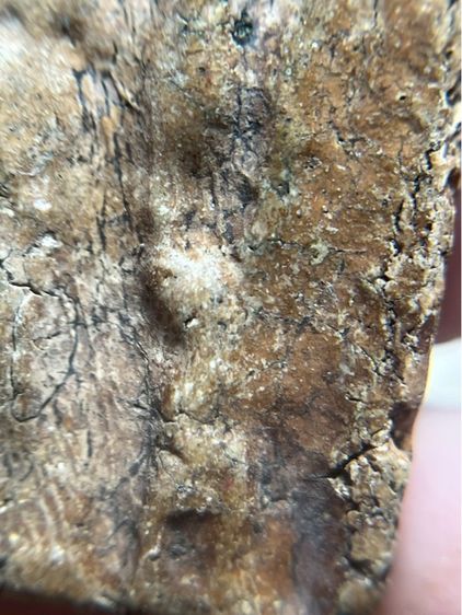 พระสมเด็จวัดระฆังหลังร่องสวน รูปที่ 14