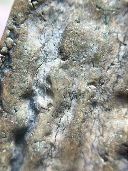 พระสมเด็จวัดระฆังหลังร่องสวน รูปที่ 17