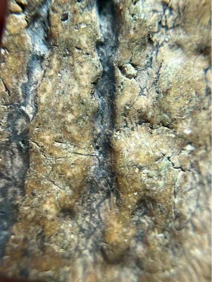 พระสมเด็จวัดระฆังหลังร่องสวน รูปที่ 12