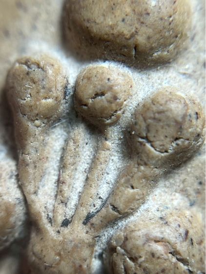 พระปิดตาผงกระดูกผี วัดโพธิ์พิมพ์นิยม รูปที่ 7