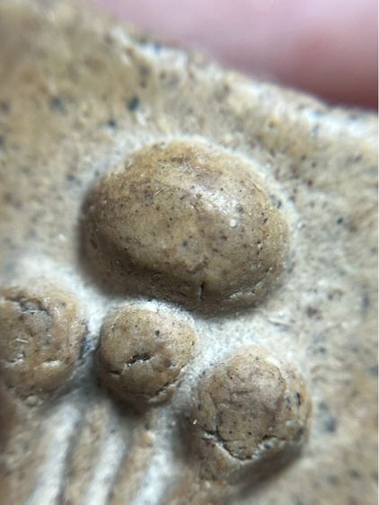 พระปิดตาผงกระดูกผี วัดโพธิ์พิมพ์นิยม รูปที่ 9