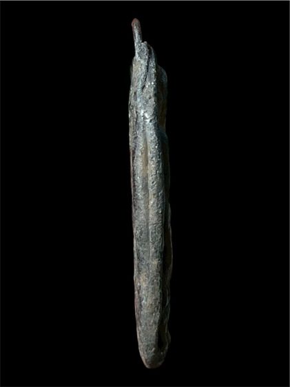 หลวงปู่ศุข วัดปากคลองมะขามเฒ่า2466 รูปที่ 3