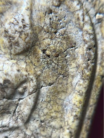 พระสมเด็จพิมพ์ใหญ่หลังเจดีย์ รูปที่ 12