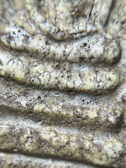 พระสมเด็จพิมพ์ใหญ่หลังเจดีย์ รูปที่ 8