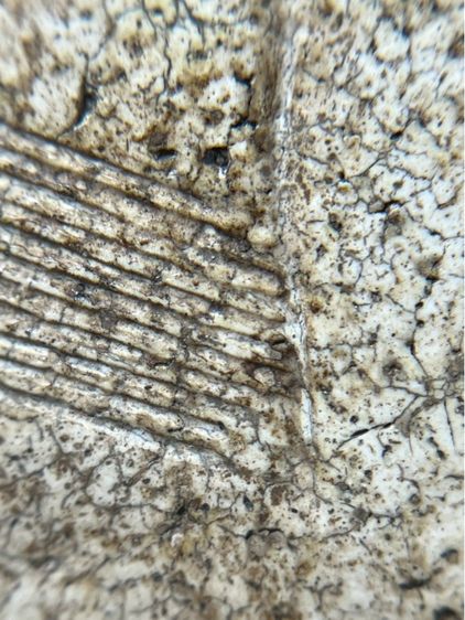 พระสมเด็จพิมพ์ใหญ่หลังเจดีย์ รูปที่ 14