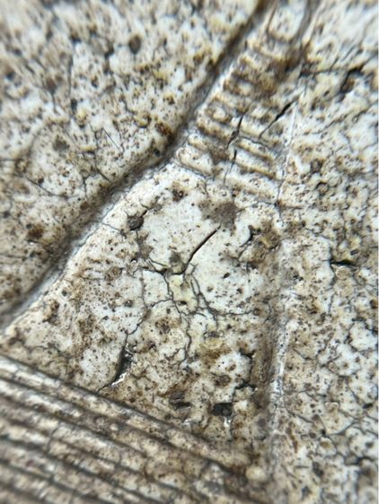 พระสมเด็จพิมพ์ใหญ่หลังเจดีย์ รูปที่ 15