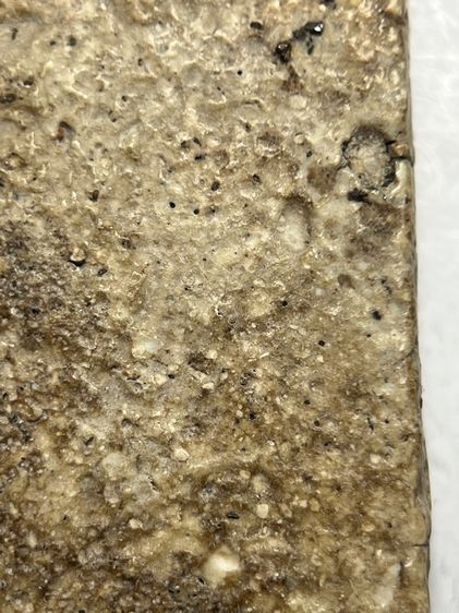 พระสมเด็จวัดระฆังพิมพ์เชียงแสน ส่งตามรูป (103) รูปที่ 8