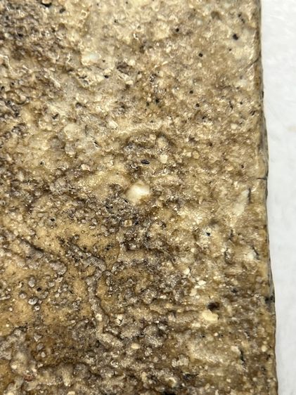 พระสมเด็จวัดระฆังพิมพ์เชียงแสน ส่งตามรูป (103) รูปที่ 9