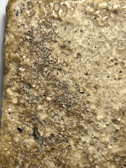 พระสมเด็จวัดระฆังพิมพ์เชียงแสน ส่งตามรูป (103) รูปที่ 7