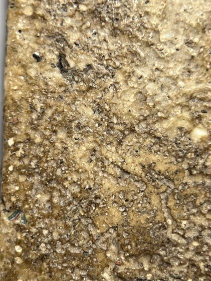 พระสมเด็จวัดระฆังพิมพ์เชียงแสน ส่งตามรูป (103) รูปที่ 10