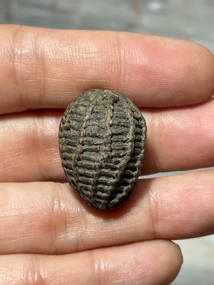 พระสะสมเก่า รูปที่ 2