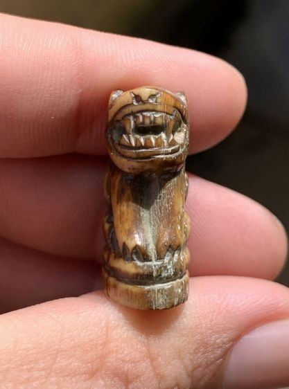 เสือเก่า รูปที่ 2