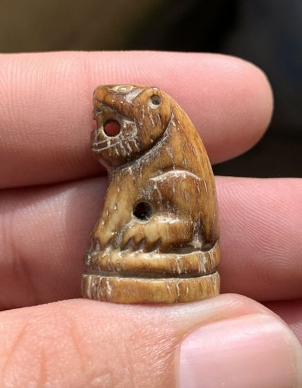 เสือเก่า รูปที่ 3