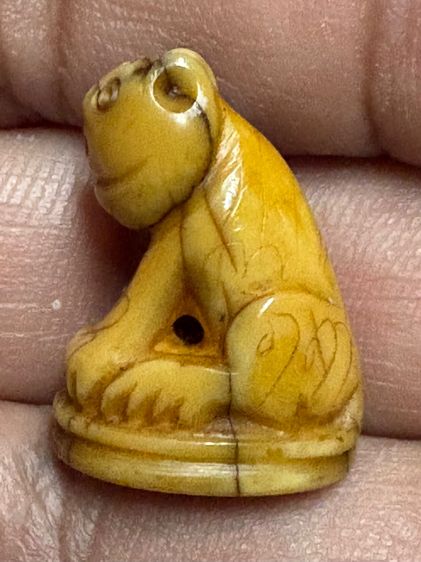 เสือหลวงพ่อปาน วัดบางเหี้ย รูปที่ 8