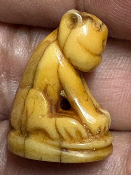 เสือหลวงพ่อปาน วัดบางเหี้ย รูปที่ 6