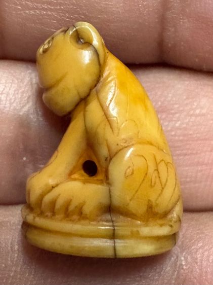 เสือหลวงพ่อปาน วัดบางเหี้ย รูปที่ 5