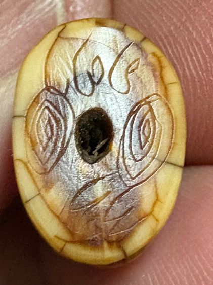 เสือหลวงพ่อปาน วัดบางเหี้ย รูปที่ 9