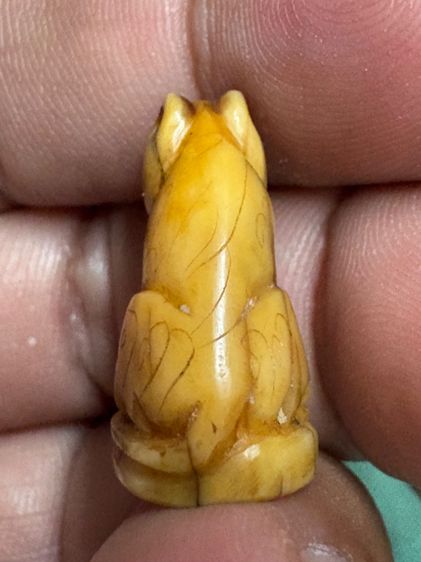 เสือหลวงพ่อปาน วัดบางเหี้ย รูปที่ 7