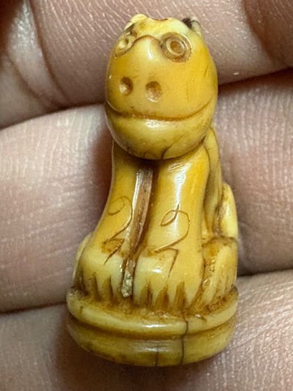 เสือหลวงพ่อปาน วัดบางเหี้ย รูปที่ 2