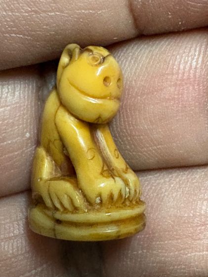 เสือหลวงพ่อปาน วัดบางเหี้ย รูปที่ 3