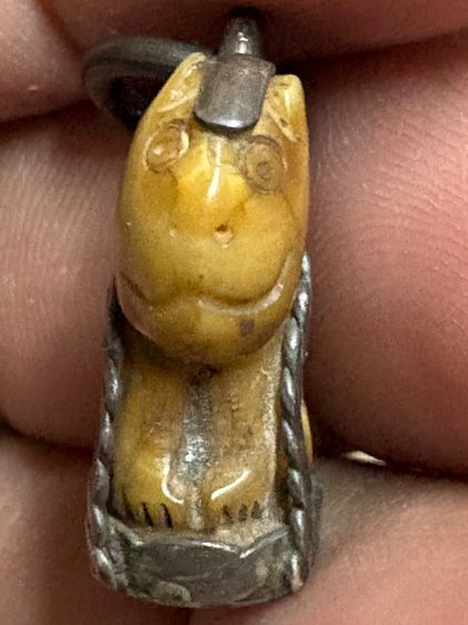 เสือหลวงพ่อปานวัดบางเหี้ย