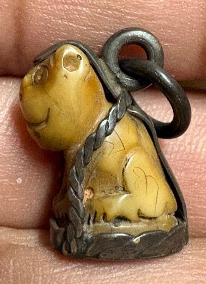 เสือหลวงพ่อปานวัดบางเหี้ย รูปที่ 5