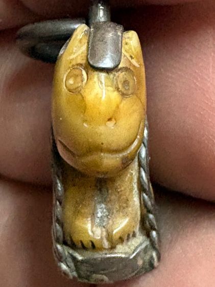 เสือหลวงพ่อปานวัดบางเหี้ย รูปที่ 2