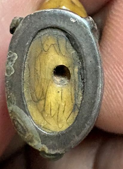 เสือหลวงพ่อปานวัดบางเหี้ย รูปที่ 7