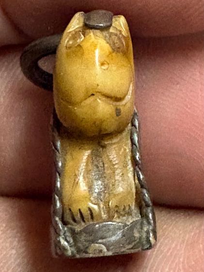 เสือหลวงพ่อปานวัดบางเหี้ย รูปที่ 3