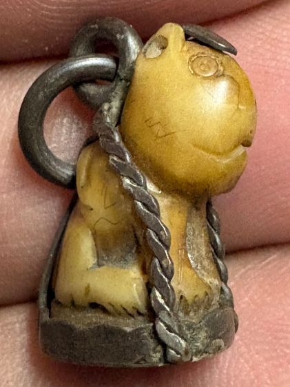 เสือหลวงพ่อปานวัดบางเหี้ย รูปที่ 4