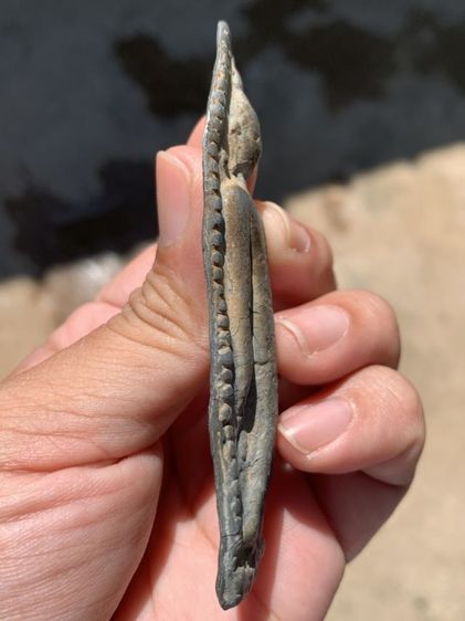 พระลีลาข้างเม็ด รูปที่ 4