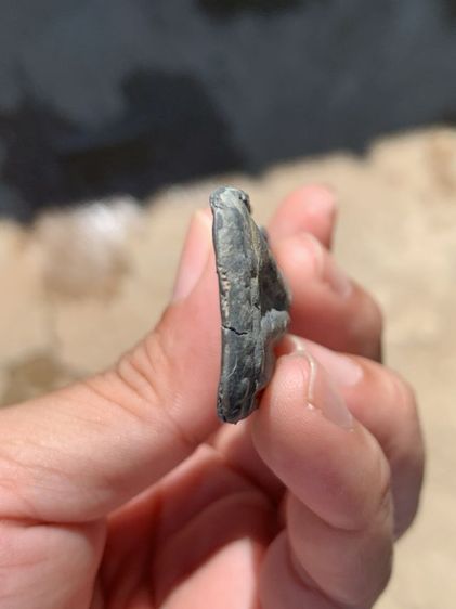 พระลีลาข้างเม็ด รูปที่ 5