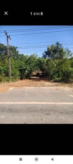 ใช่ แบ่งขายที่ดินติดถนน 201 เลย-เชียงคาน ขนาดที่ดิน 200 ตารางวา - 11 ไร่ รูปที่ 3