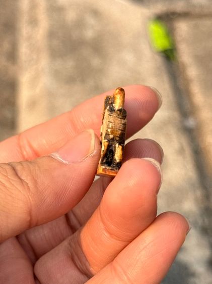 สิงห์สามขวัญหลวงพ่อเดิม รูปที่ 11