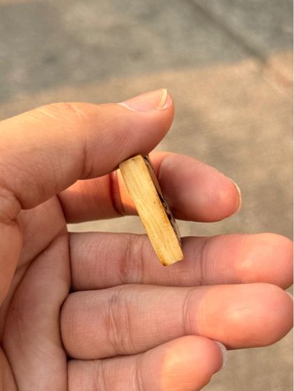 สิงห์สามขวัญหลวงพ่อเดิม รูปที่ 4