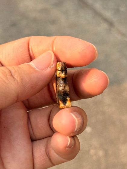 สิงห์สามขวัญหลวงพ่อเดิม รูปที่ 5